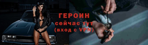 индика Богородицк