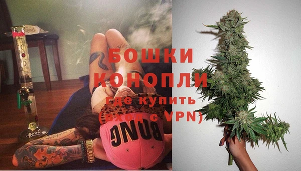 спайс Покачи