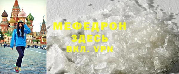 индика Богородицк