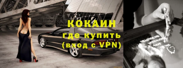 индика Богородицк