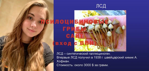 индика Богородицк