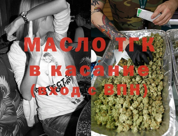 индика Богородицк