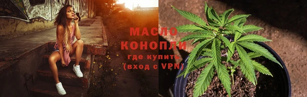 индика Богородицк
