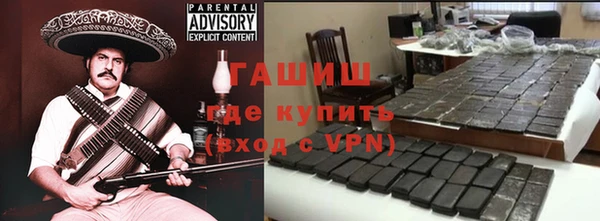 индика Богородицк