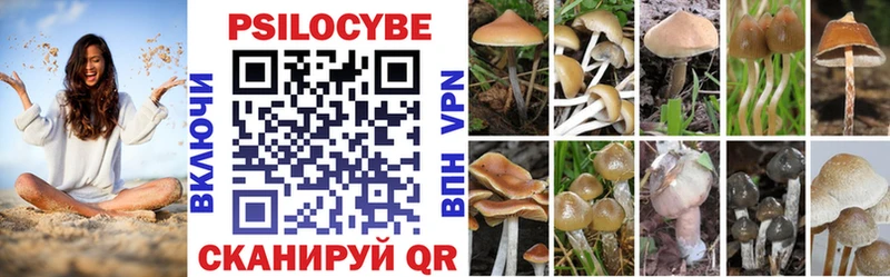 где можно купить   Дмитровск  Галлюциногенные грибы GOLDEN TEACHER 